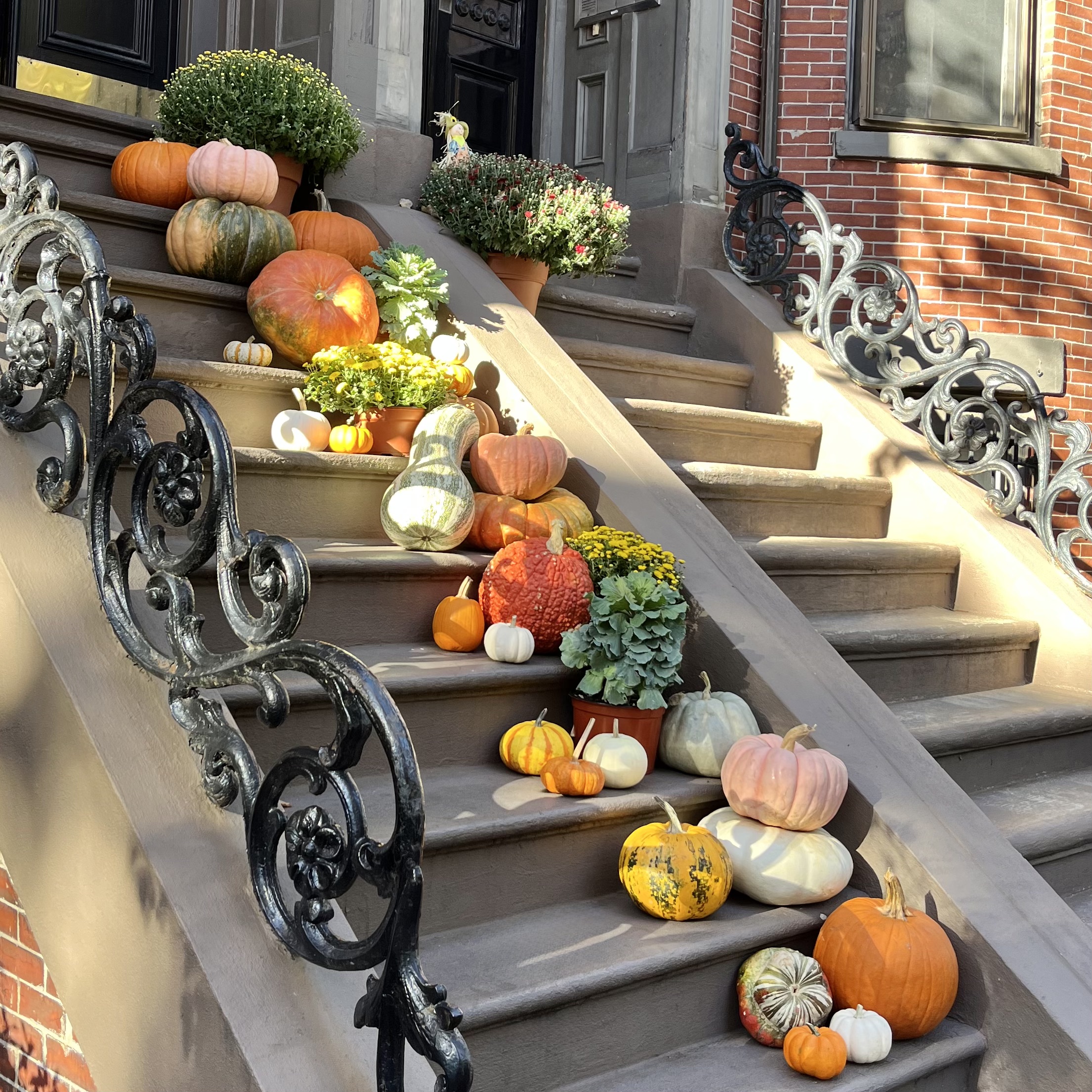 Brownstone steps with pumpkins